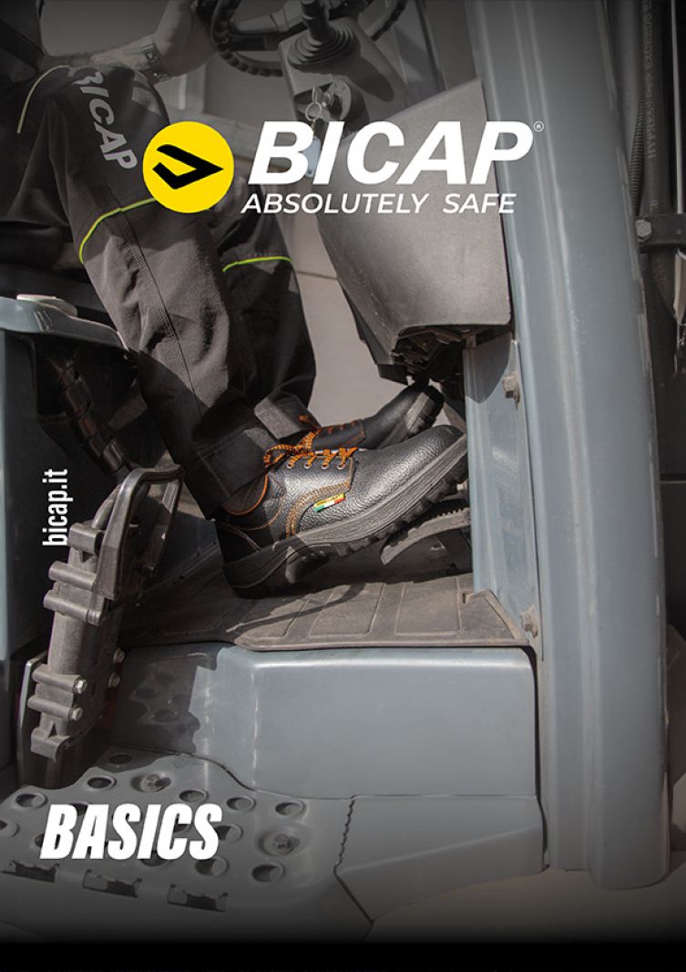 Bicap Basics